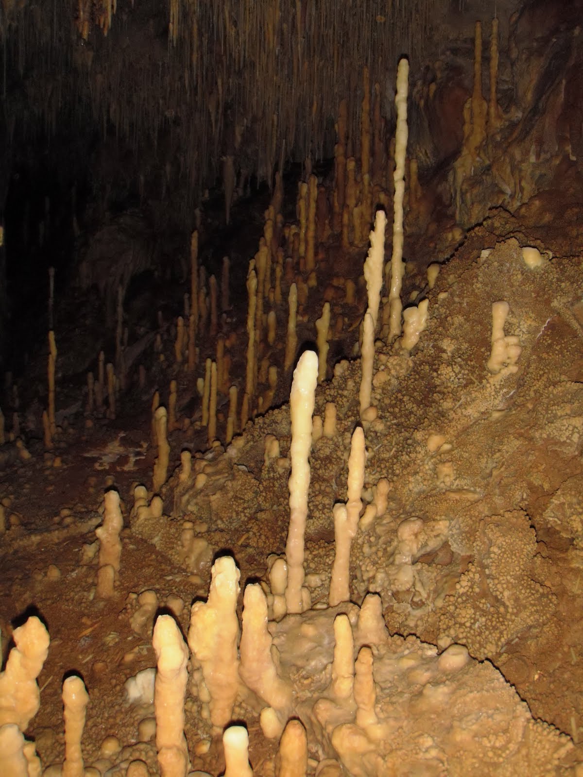 A Quoi Sert La Glotte Au Fond De La Gorge