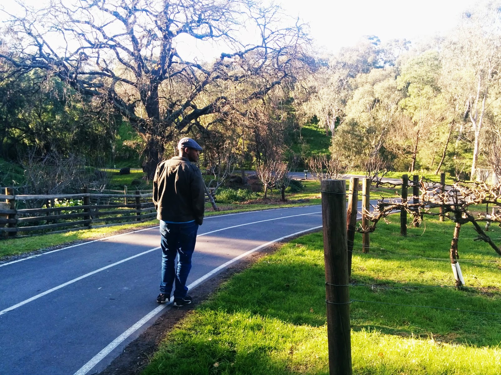 Sister To Ginger > Weekend Snapshots Abbotsford Farm