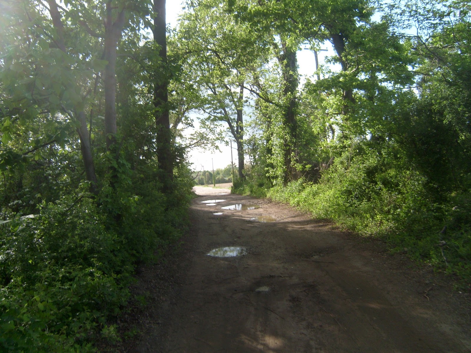 Scared Sheetless The Legend of Boody Mill Road in Mantua, New Jersey