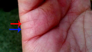 Detail Information About Your Marriage Line Palmistry