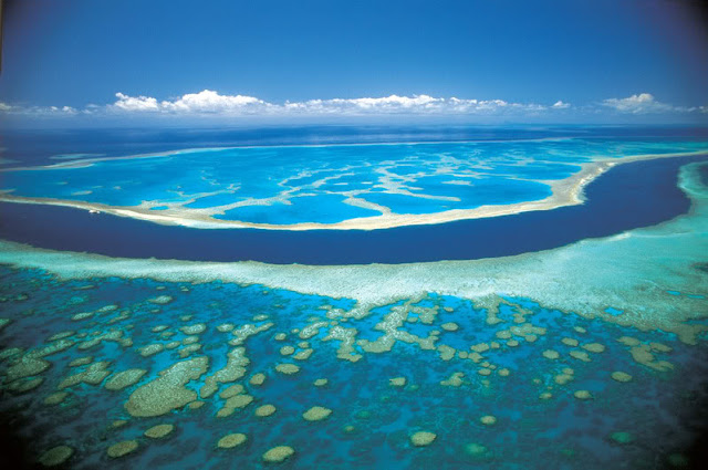The great coral reef in Australia 
