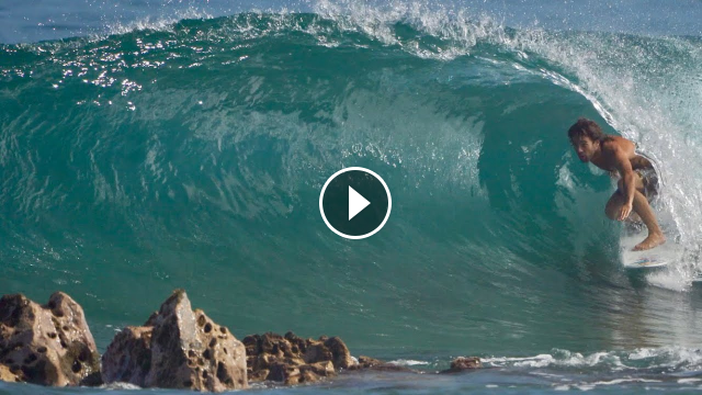 Mason s Hydra Fish Session
