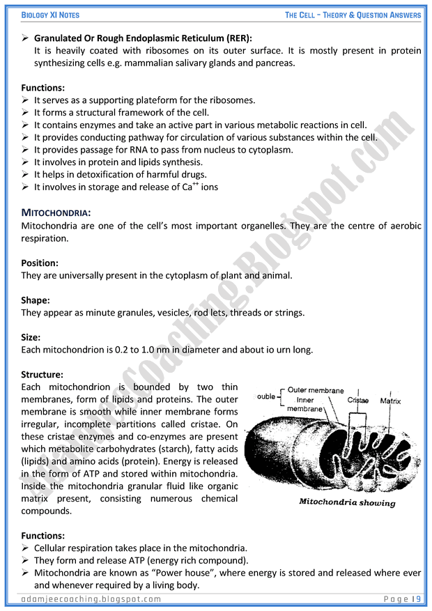the-cell-descriptive-question-answers-biology-11th