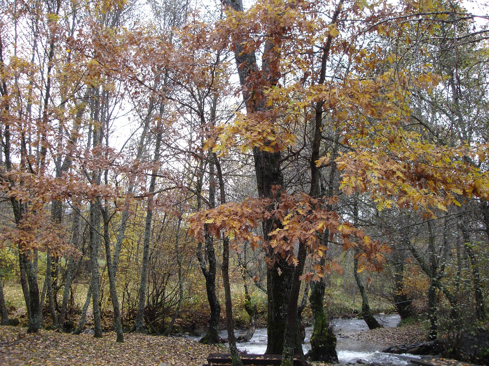 RINCONES DE VIAJE: RUTA DE LA CASCADA DE SOTILLO