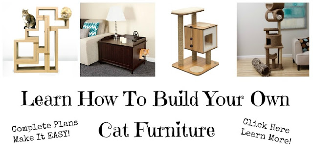 Cool Cat Tree Plans Don T Work Only You Can Build The Cat Furniture Of Your Dreams Be It A Room Filling Condo Shaped Like Castle From Some Far Off Fairy World Or Simple Tower