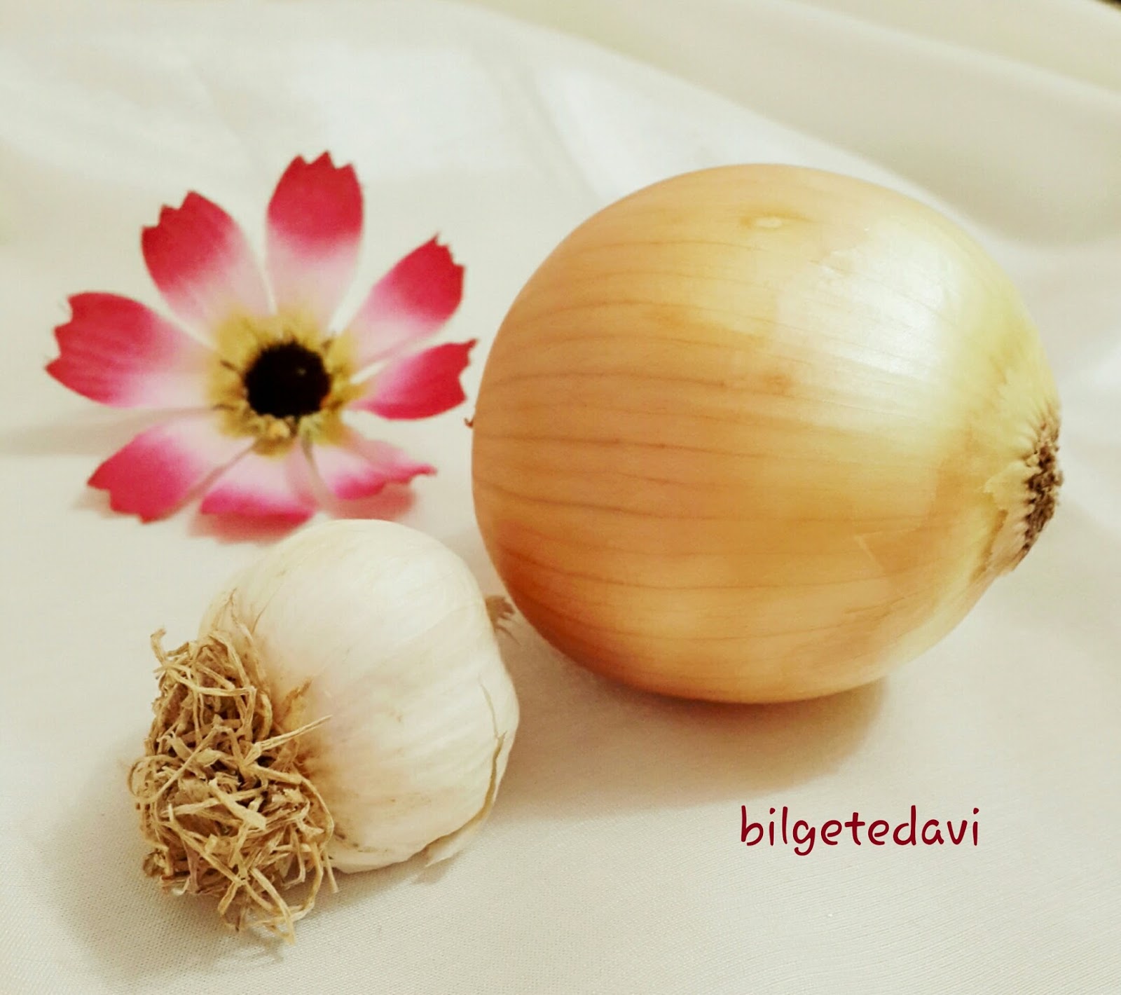 Doğal Antibiyotikler Doğal Antibiyotikler