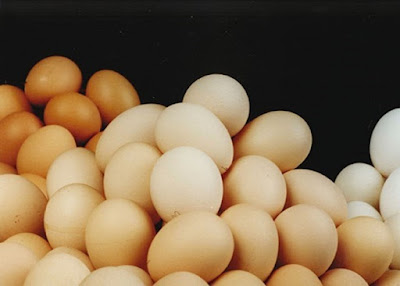  Việc phát hiện giới tính trứng gà có thể làm giảm chi phí trong ngành công nghiệp gia cầm. (Nguồn: poultryhub)