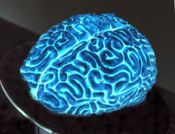 GLOWING JELLO BRAINS- win Halloween with this grossly delicious dessert!