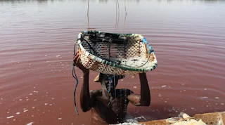 Lake Retba natural pink lake in Senegal East Africa