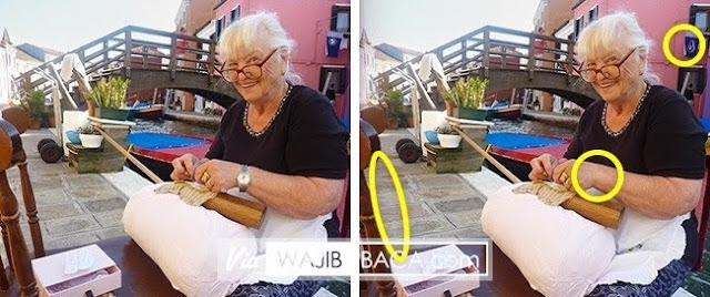 Hanya Orang yang Paling Jelih yang Dapat Temukan Perbedaan Di Tiap Gambar Ini, Berani Coba?