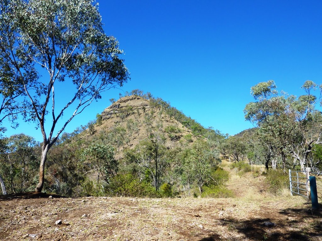 National Park Odyssey Shared Walks in Glen Rock State Forest, QLD.