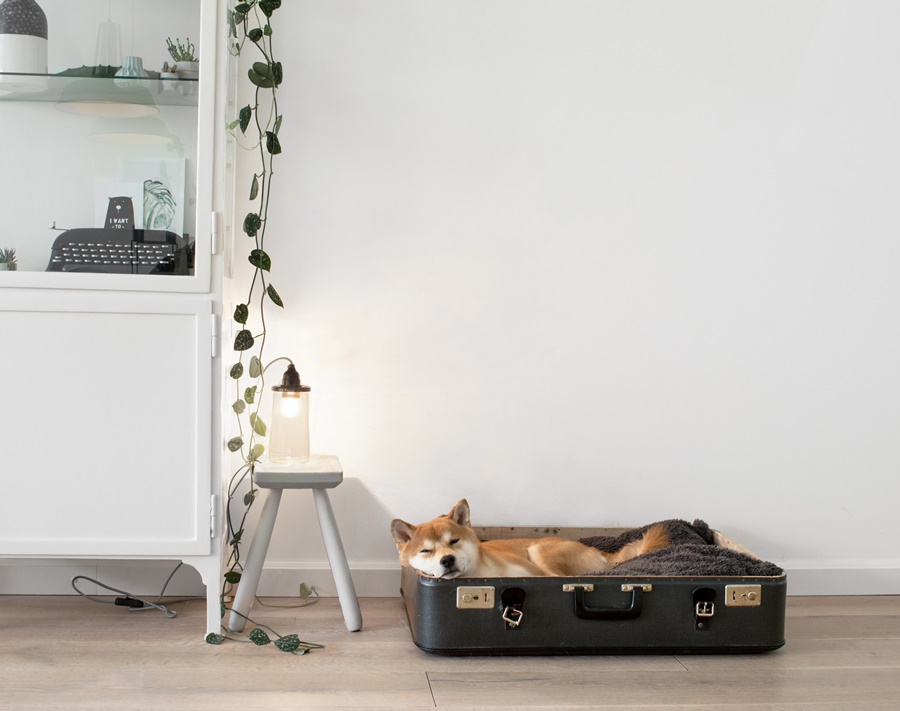 Decoración nordica atemporal