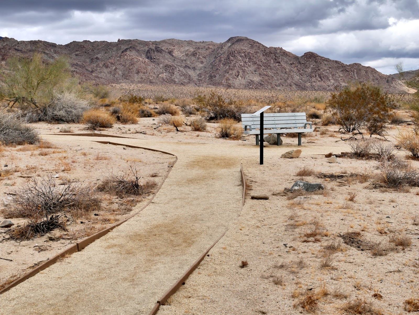 American Travel Journal Bajada Nature Trail Joshua Tree National Park