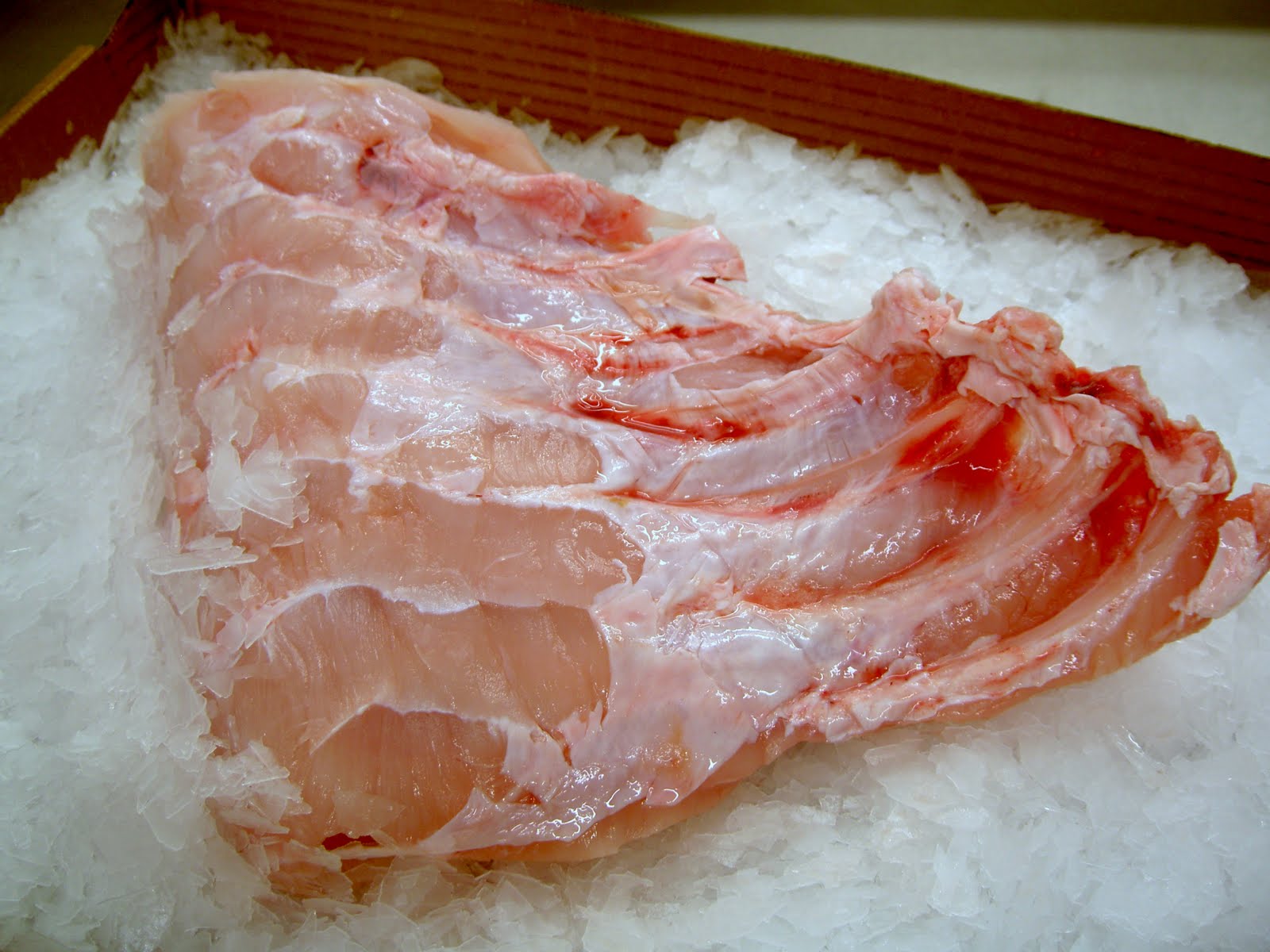 grouper-fish-taste-frozen-grouper-supplier-grouper-fish-indonesia