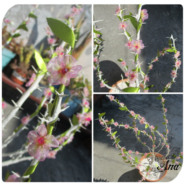 Flores con listón