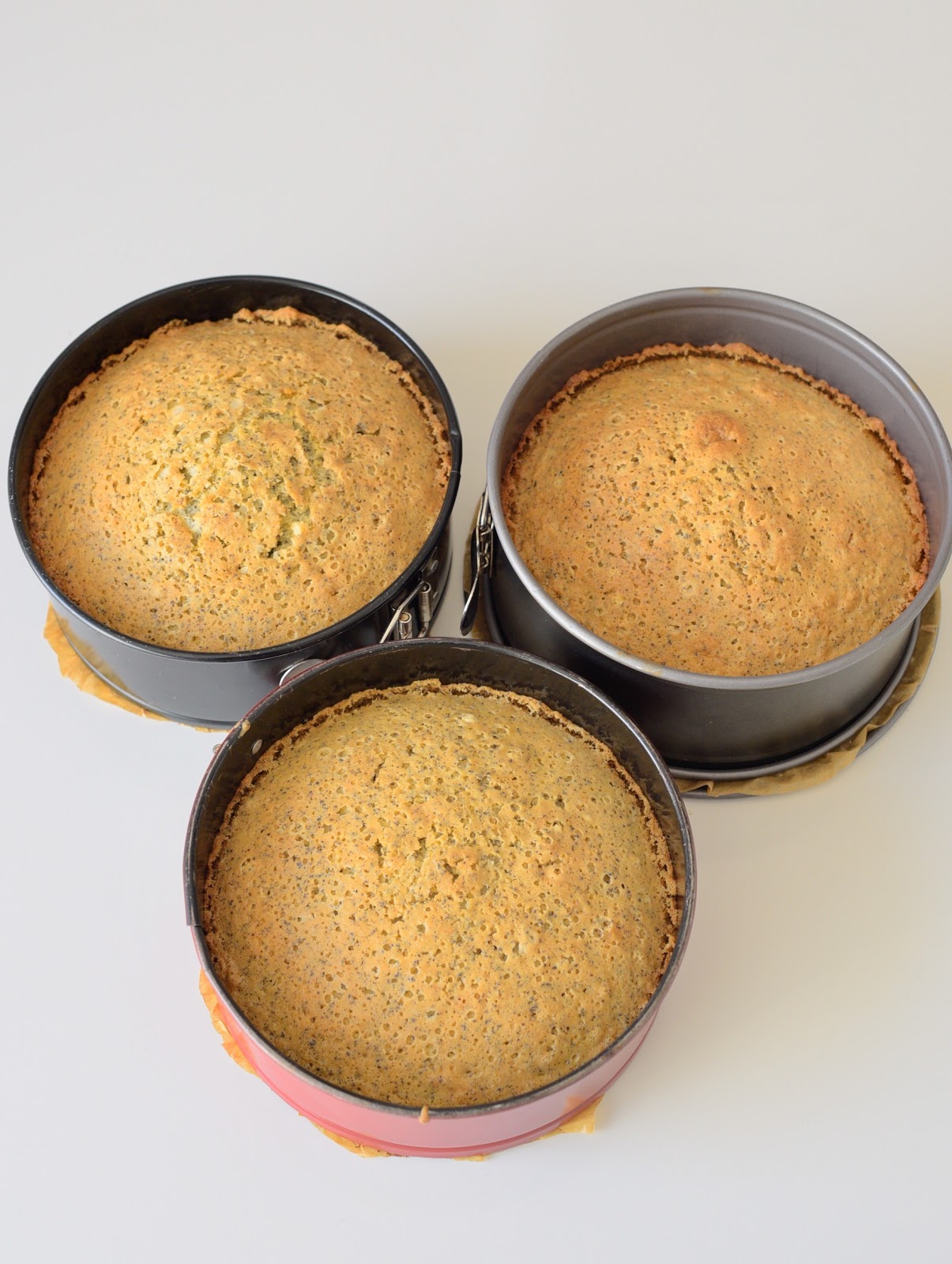 Kessy&amp;#39;s Pink Sugar: Mohn Brombeer Torte