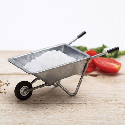 Must Have Salt Holders For Your Dining Table Spicebarrow Salt Holder