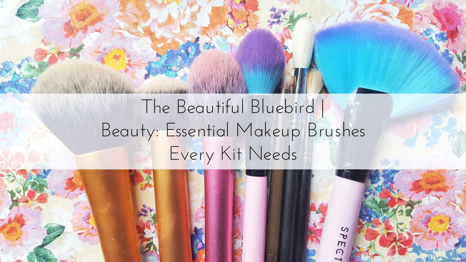 Essential Makeup Brushes Every Kit Needs The Beautiful Bluebird