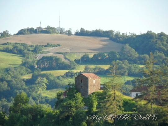 zona di perdita di peso di daddys