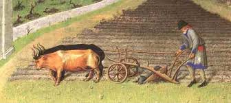 Agricultura de subsistencia