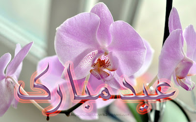Eid Ul Adha Zuha Mubarak Flowers Wallpapers Greeting Cards in Urdu 008