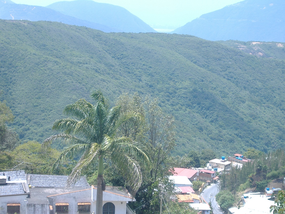 Busco Inmuebles para Vender o Alquilar 0212.4223247/04123605721