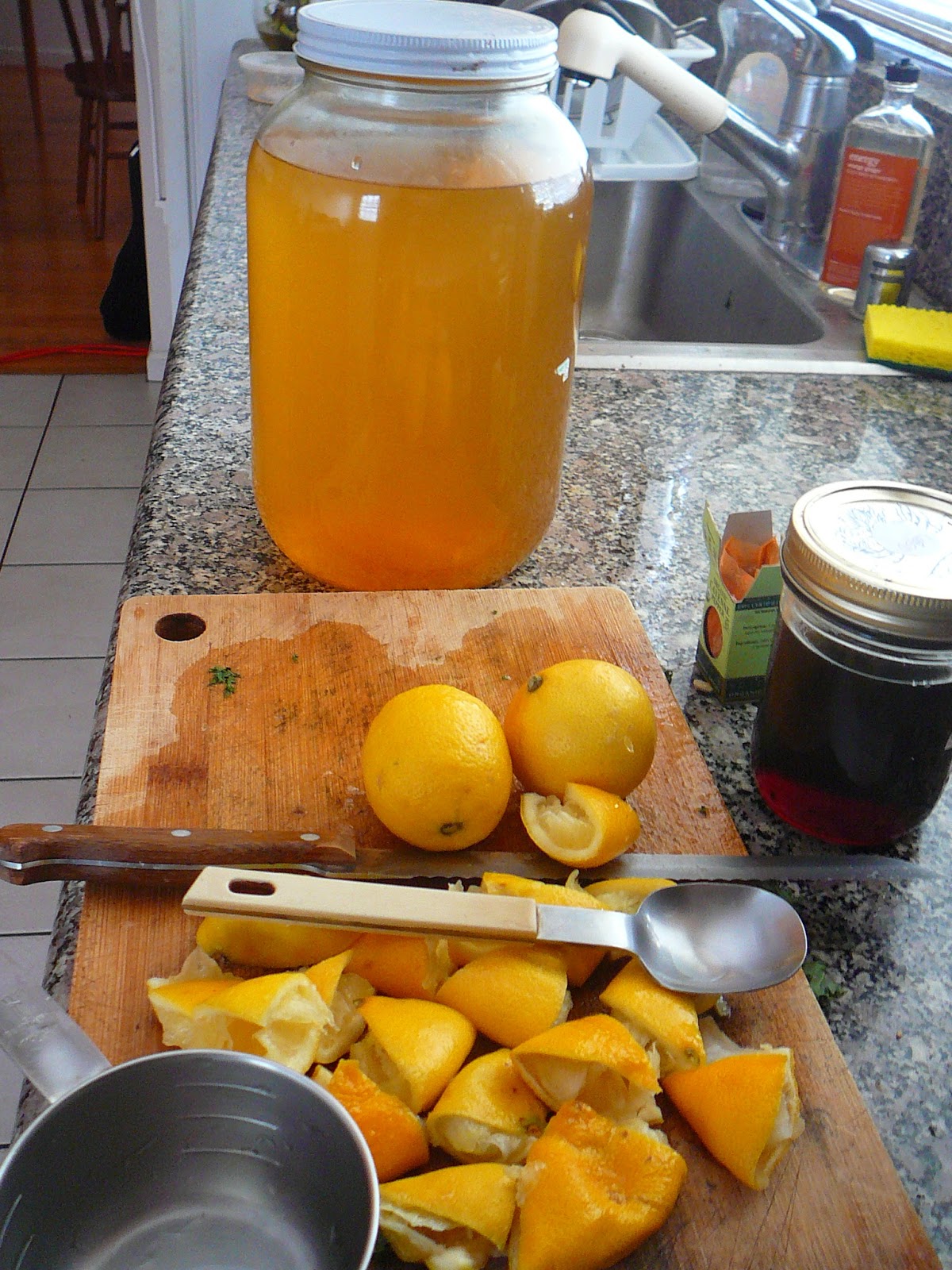 ONE LIFE, LIVED WELL astrology & wellness The Master Cleanse Recap A