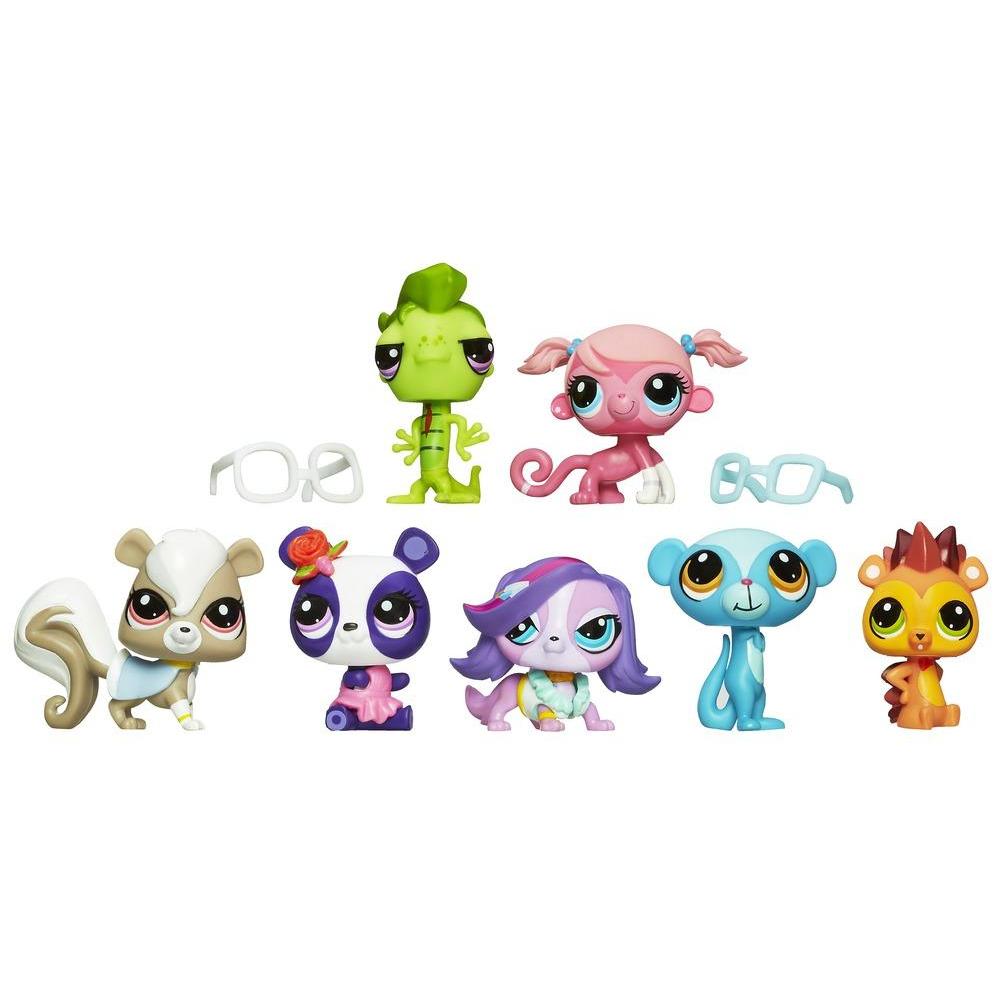 Bird In Everything Birds Pet Shop