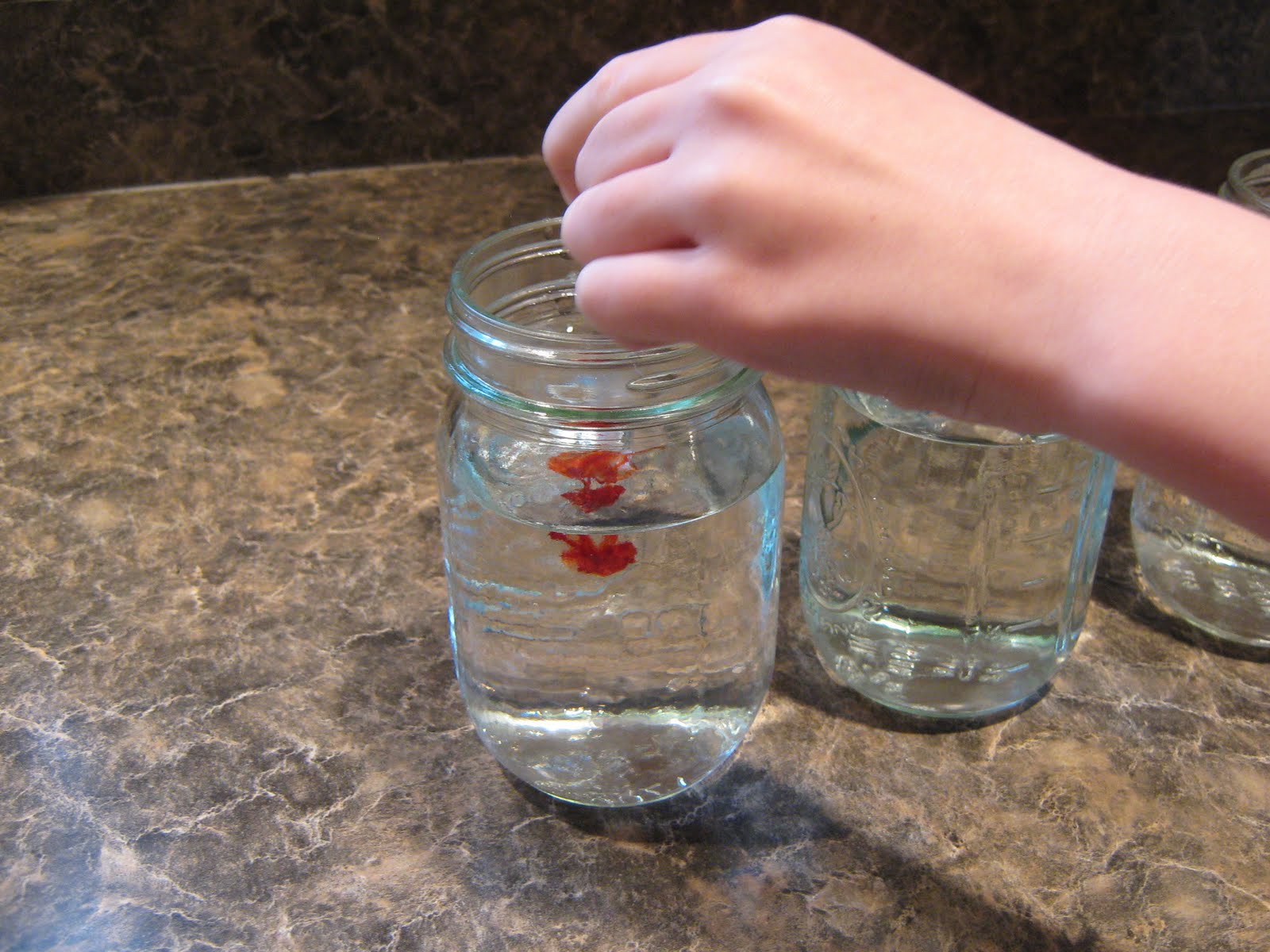 Almost Unschoolers: More Fun With Oil And Water Density - Rainbow Lava ...