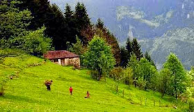 trabzon ilinde bir yayla bulmaca evi trabzon ilinde bir yayla bulmaca evi