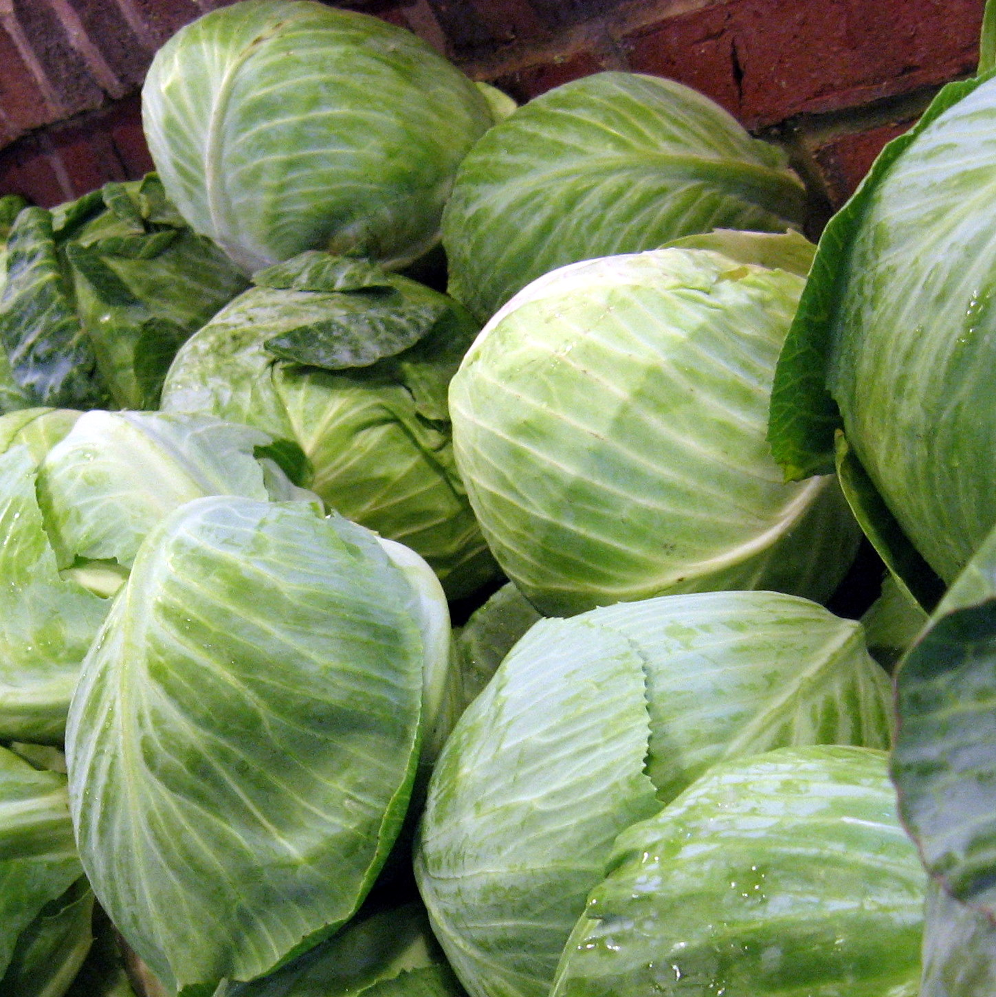 Farm share stories Cabbage Enchiladas with Tomatillo Salsa