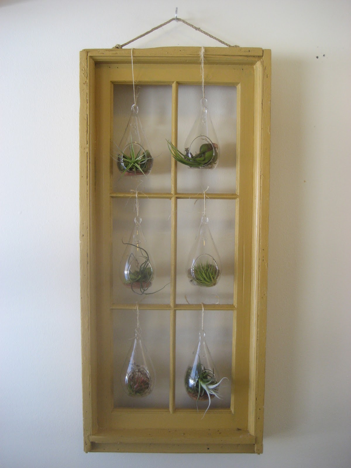 Chuck Does Art DIY Hanging Window Frame Tillandsia (air plant) Terrarium and Wall Art
