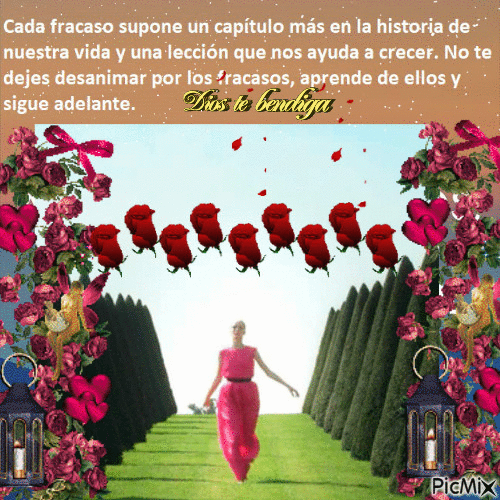 frases de motivacion para el diario vivir