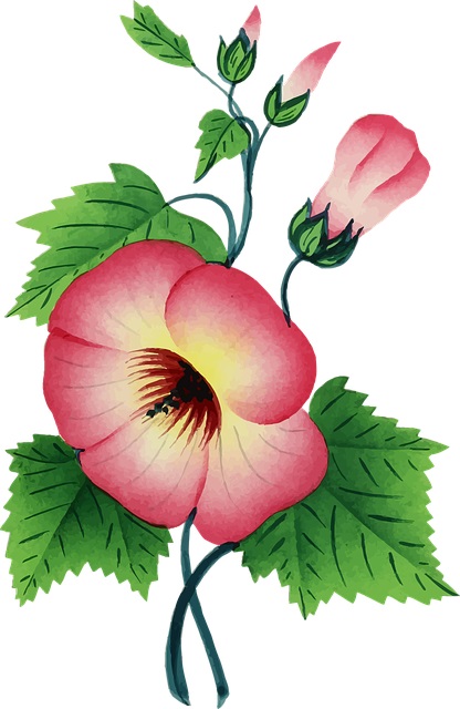 flores para imprimir pintar e colorir lindas e bonitas