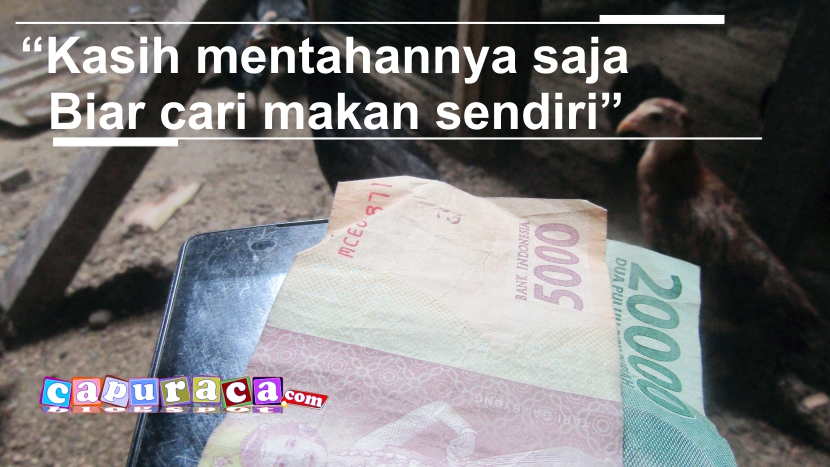 72+ Gambar Ayam Cari Makan Paling Hist 72+ Gambar Ayam Cari Makan Paling Hist