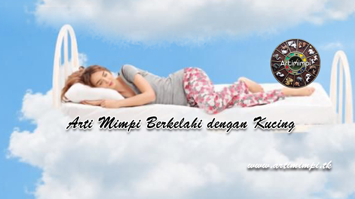 300+ Gambar Erek Erek Berkelahi HD Paling Baru 300+ Gambar Erek Erek Berkelahi HD Paling Baru