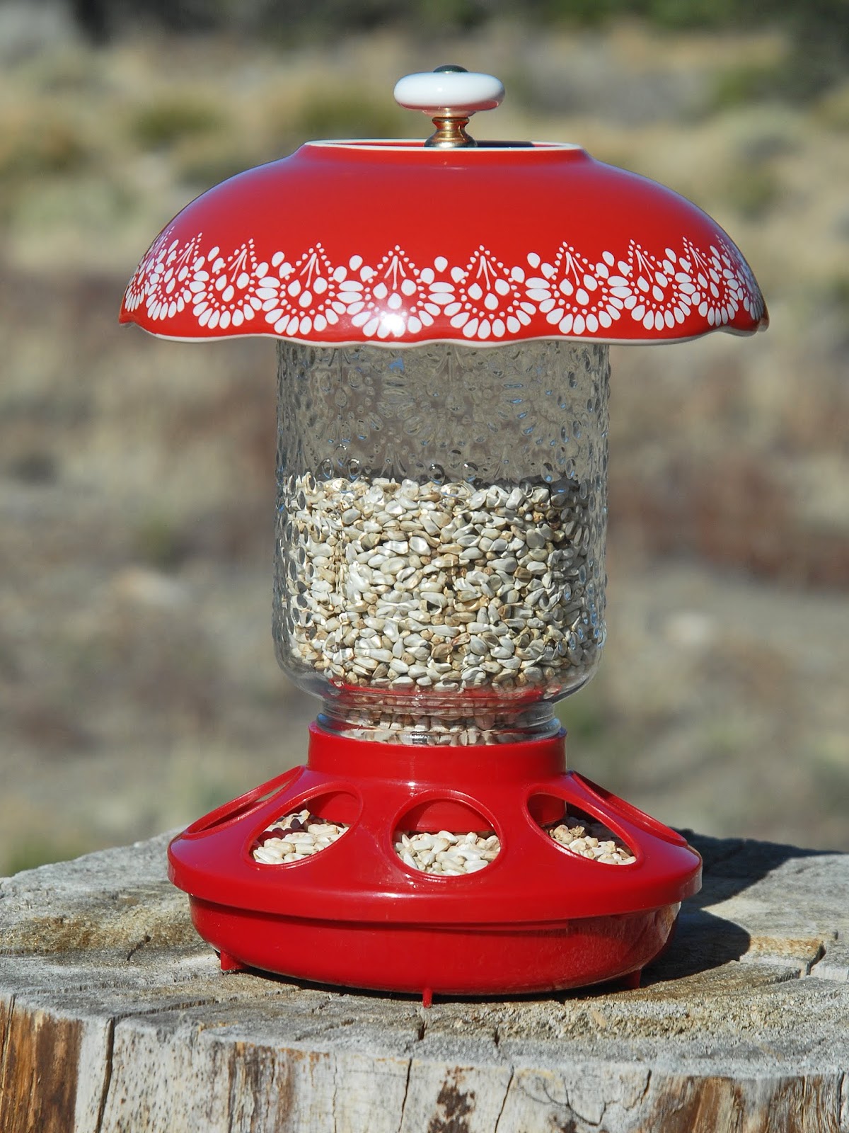 DIY Mason Jar Bird Feeder Tutorial and Product Review