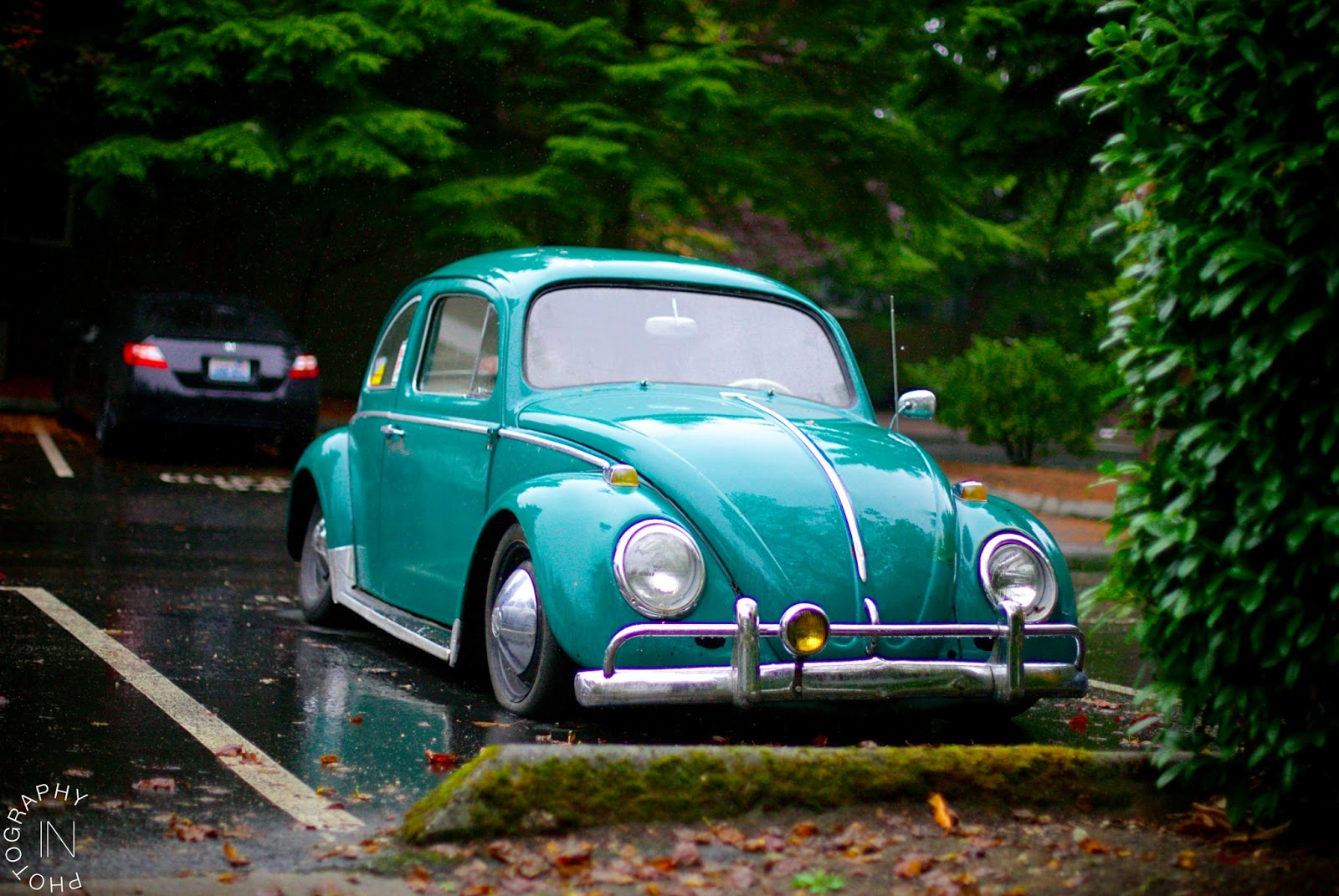 Java Green Bug 1964 Beetle Project: Introduction to my 64 Java Green Beetle