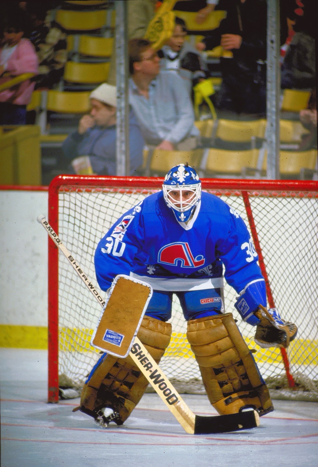 Hockey goalie, Quebec nordiques, Ice hockey
