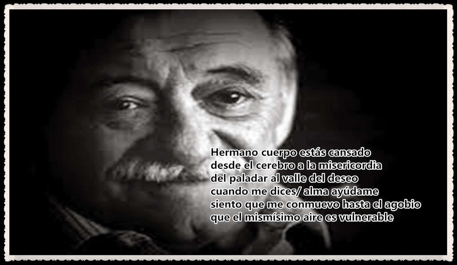 Las Mejores Frases De Amor De