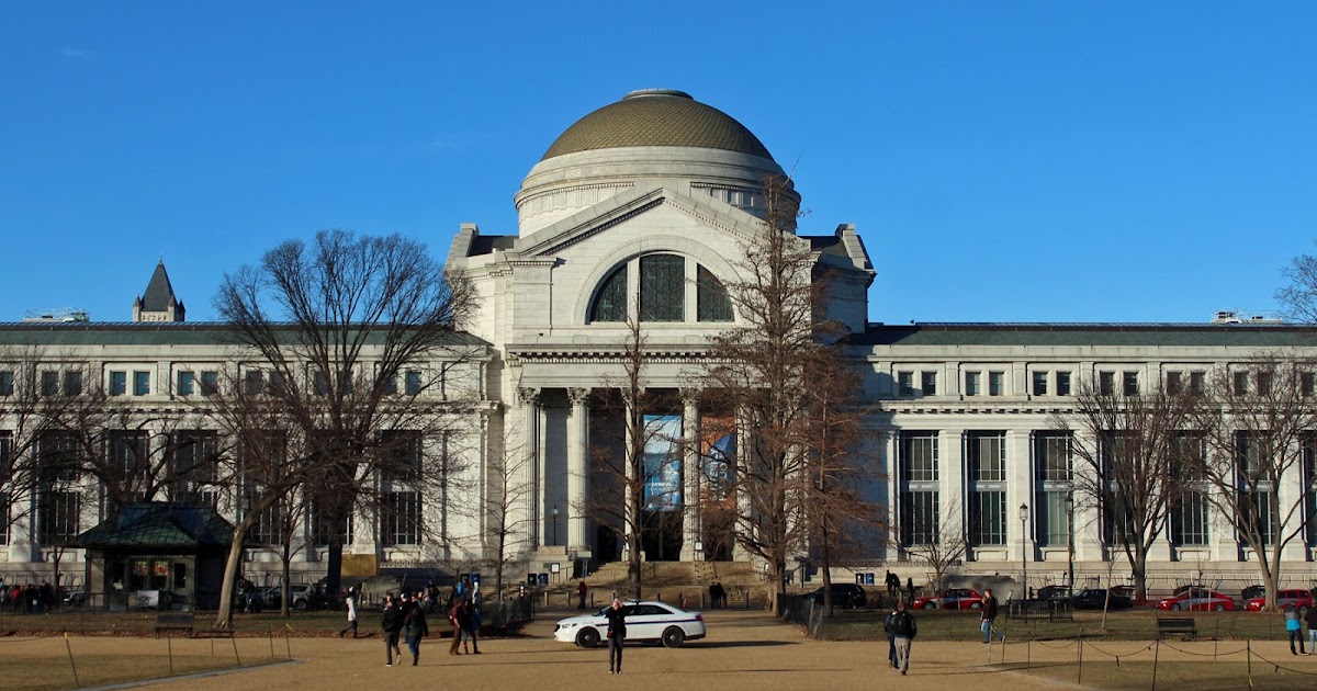 Вашингтон национальный музей