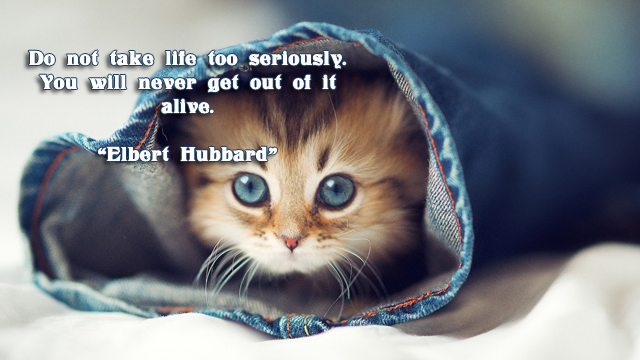 facebook Poste image quotes (Do not take life too seriously ..)