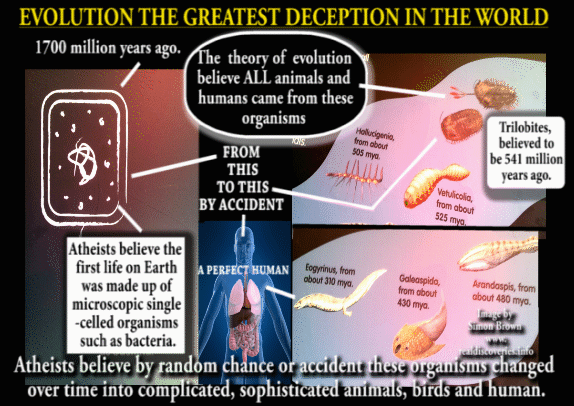 EVOLUTION THE GREATEST DECEPTION IN THE WORLD.