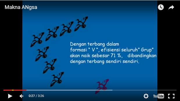 Mengapa Burung Angsa Terbang Dengan Formasi Huruf V Tahukah Teman