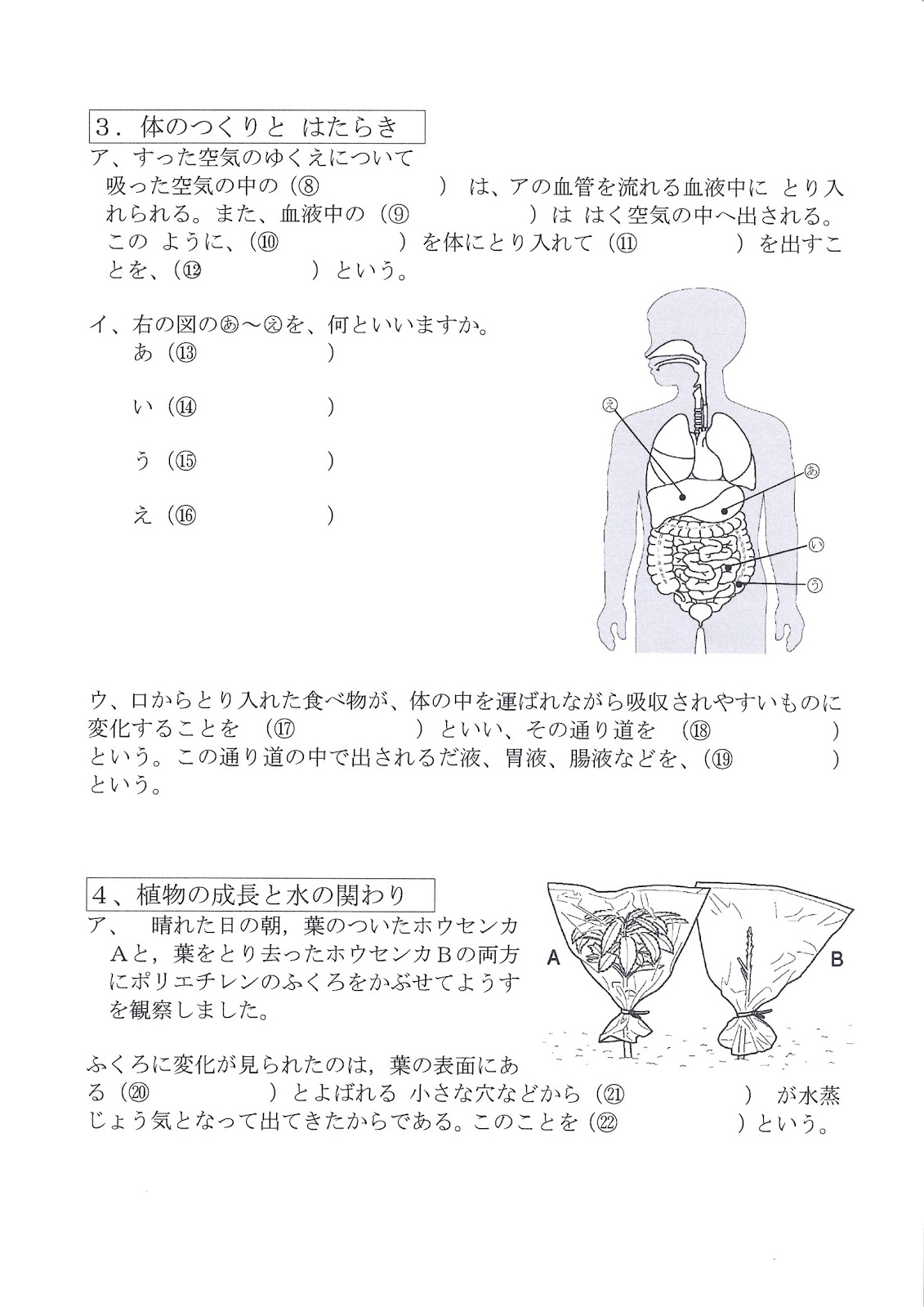 板書ノート 生物と地球環境