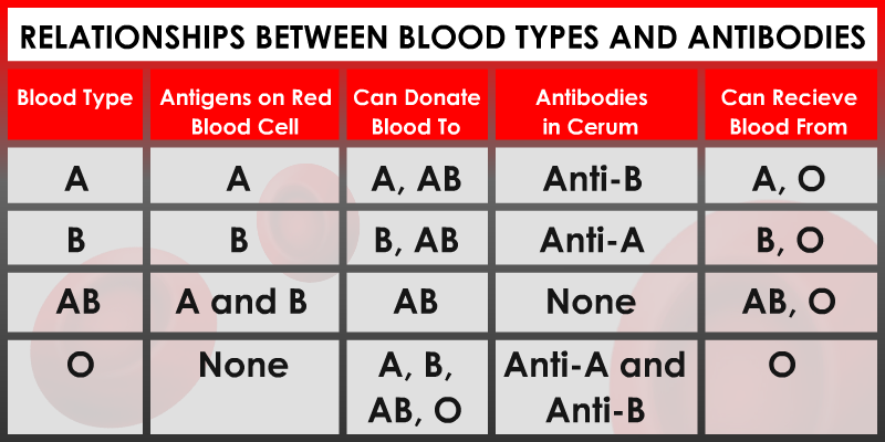 Как по английски кровь. Blood Type. Ab Blood Type. Rh Blood Type. Blood Group Types.