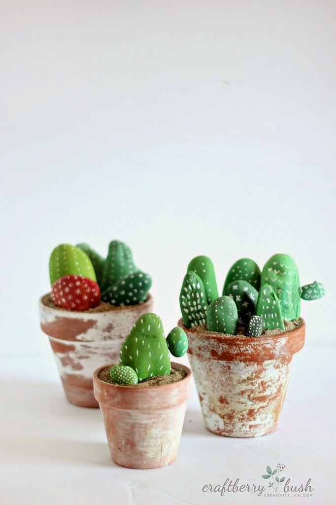 pedras imitando cactus, vaos de cactus