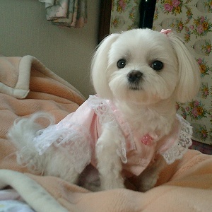 She is
                        Georgeous