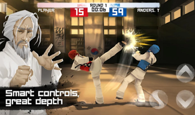 Taekwondo Game Mod Apk