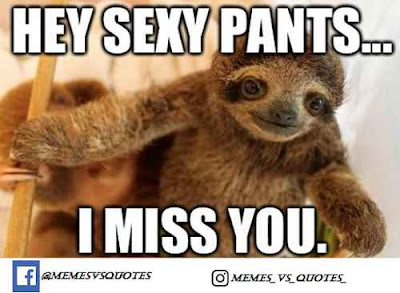 Best Miss you meme Hey sexy pants